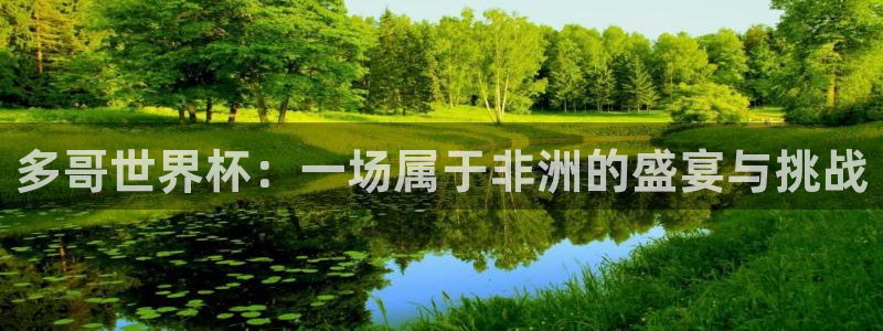 世界杯球赛：多哥世界杯：一场属于非洲的盛宴与挑战