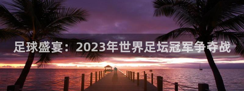 世界杯预选赛：足球盛宴：2023年世界足坛冠军争夺战