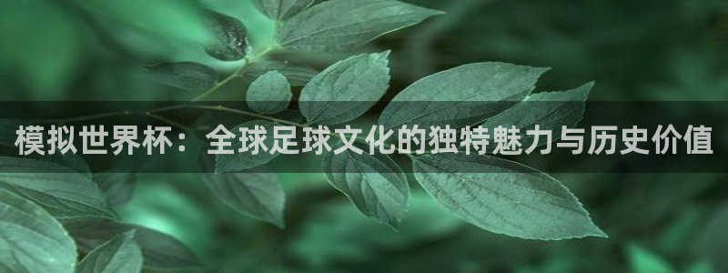 世界杯足球直播：模拟世界杯：全球足球文化的独特魅力与历史价值