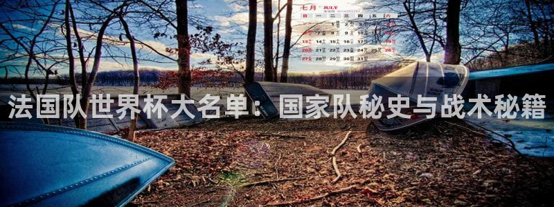 联赛杯直播：法国队世界杯大名单：国家队秘史与战术秘籍