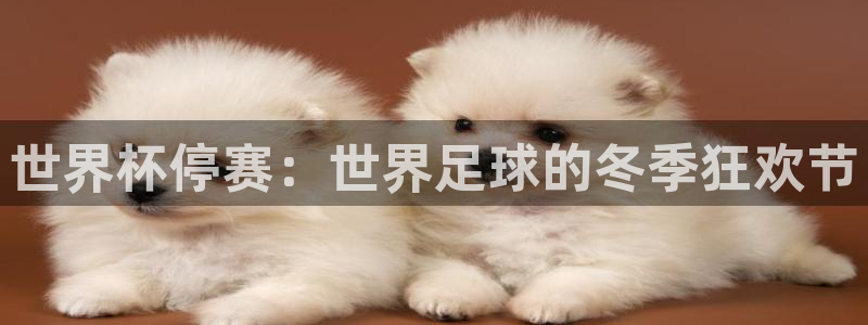 世预赛欧洲赛程表：世界杯停赛：世界足球的冬季狂欢节