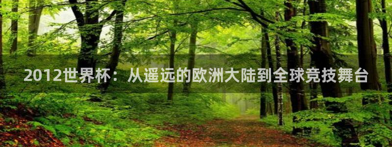 欧洲世预赛赛程表：2012世界杯：从遥远的欧洲大陆到全球竞技舞台