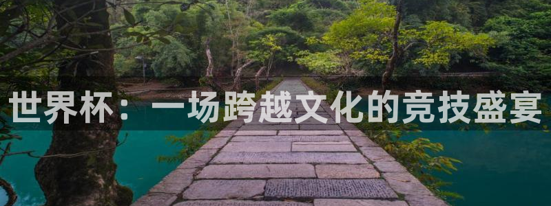 世界杯2026预选赛：世界杯：一场跨越文化的竞技盛宴