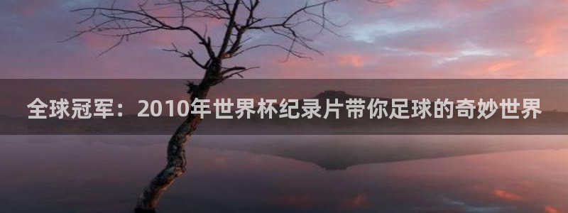 世界杯预选赛欧洲:全球冠军:2010年世界杯纪录片带你足球的奇妙世界
