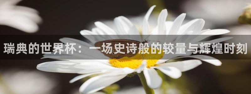 世界杯比赛直播：瑞典的世界杯：一场史诗般的较量与辉煌时刻