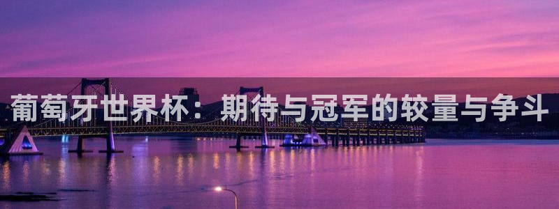 2026世界杯赛程：葡萄牙世界杯：期待与冠军的较量与争斗