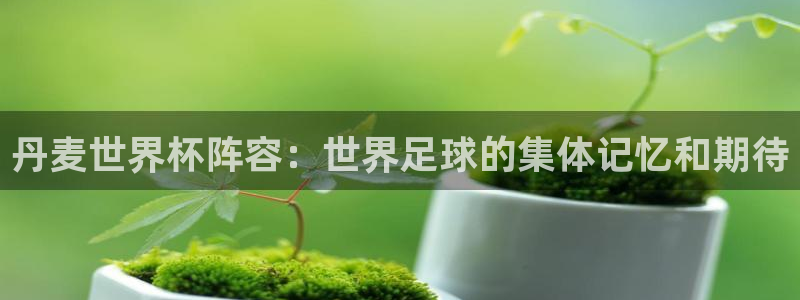 世界杯预选赛亚洲区积分榜：丹麦世界杯阵容：世界足球的集体记忆和期待