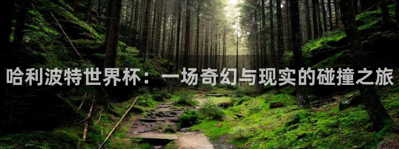 欧洲区世界杯预选赛：哈利波特世界杯：一场奇幻与现实的碰撞之旅