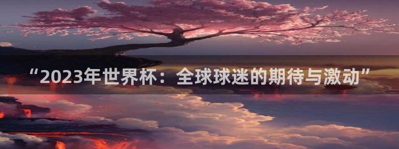 2026年世界杯对阵图：“2023年世界杯：全球球迷的期待与激动”