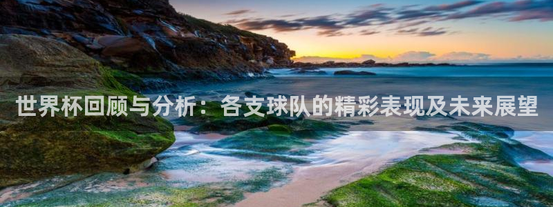 世界杯 2026：世界杯回顾与分析：各支球队的精彩表现及未来展望