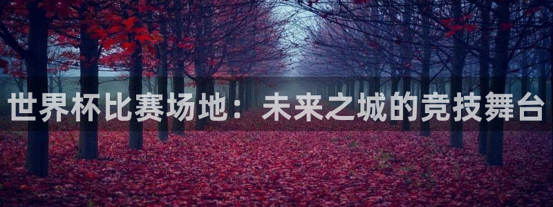 世界杯直播：世界杯比赛场地：未来之城的竞技舞台
